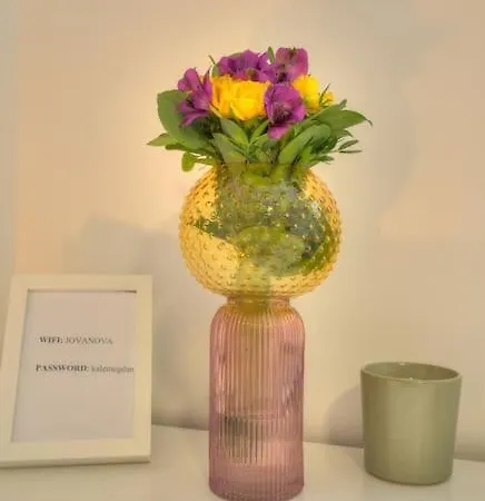 Appartamento Dorcol Apartment-new *