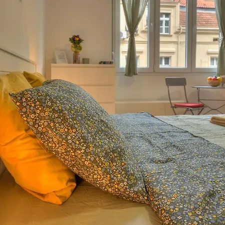 Dorcol Apartment-new Belgrad